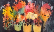 Tulips for Sale 3